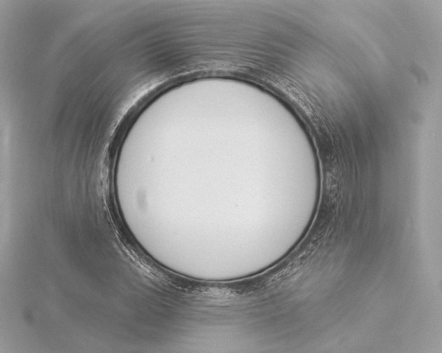 X0000115851119200912041723