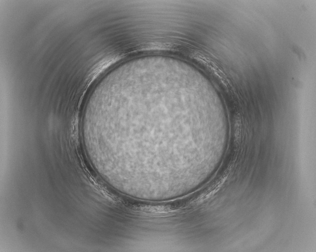 X0000115851121200912041723