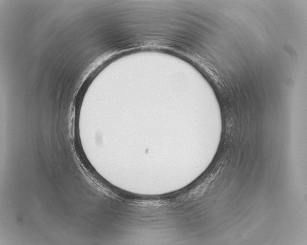 X0000115851126200912041723
