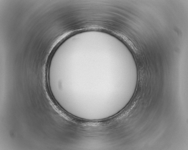 X0000115851134200912041724