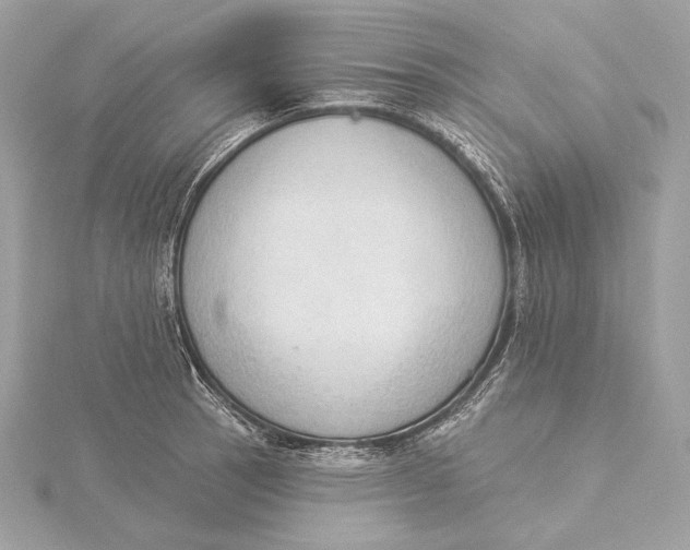 X0000115851137200912041724