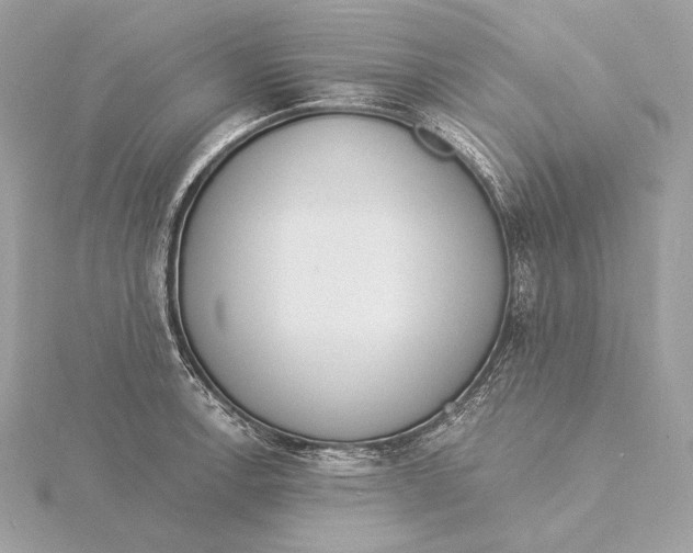 X0000115851138200912041724