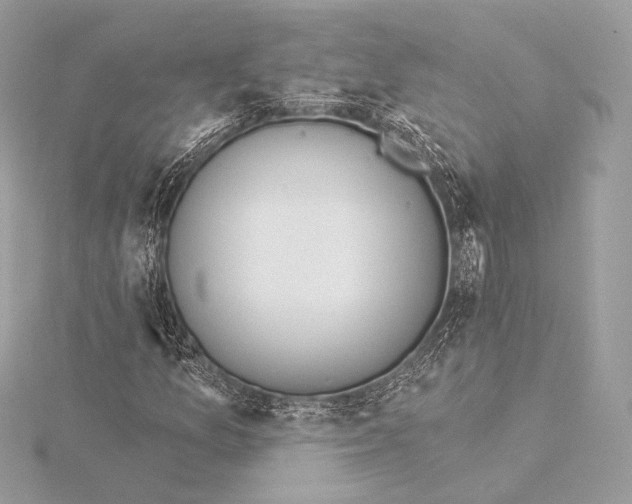 X0000115851157200912041723