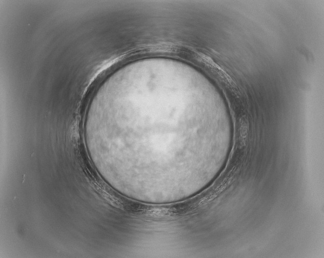 X0000115851166200912041723