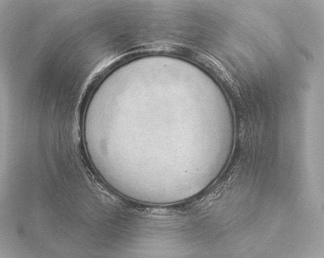X0000115851172200912041723