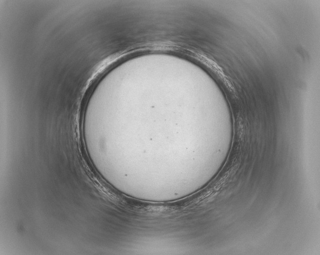 X0000115851176200912041723