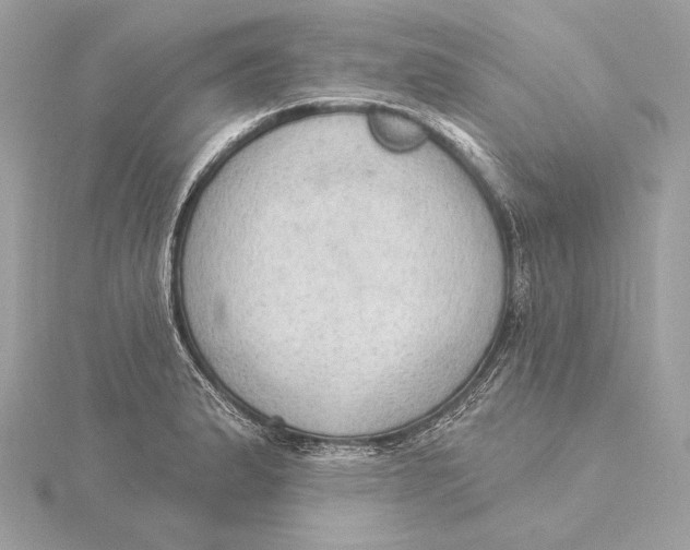 X0000115851183200912041723