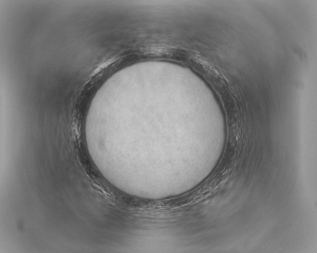 X0000115851206200912041722