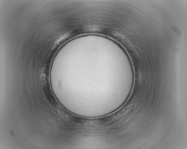 X0000115851210200912041722