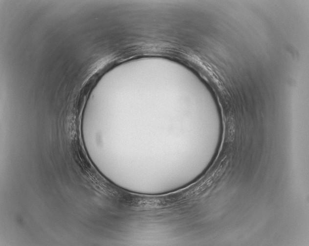 X0000115851211200912041722