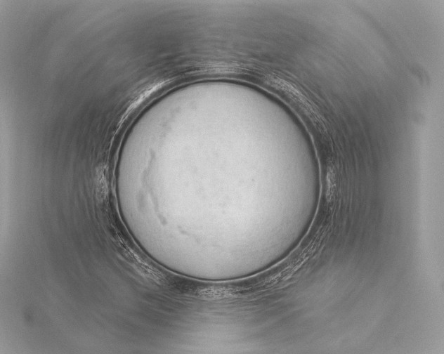 X0000115851212200912041722