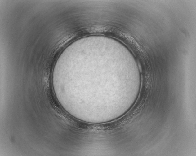 X0000115851217200912041722