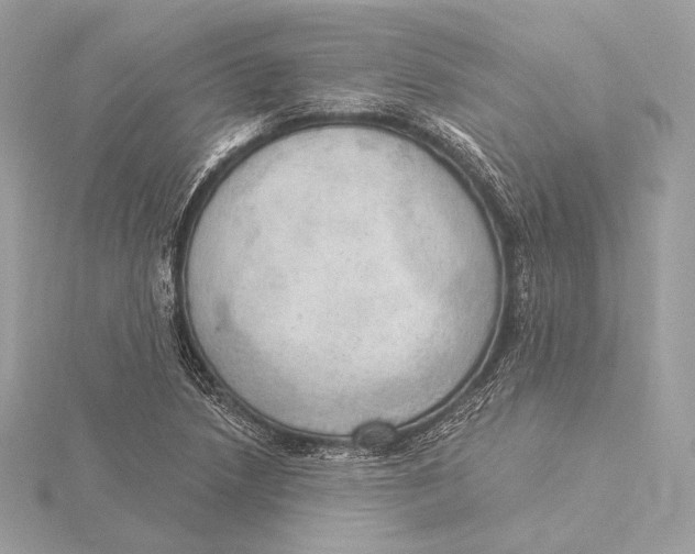 X0000115851218200912041722