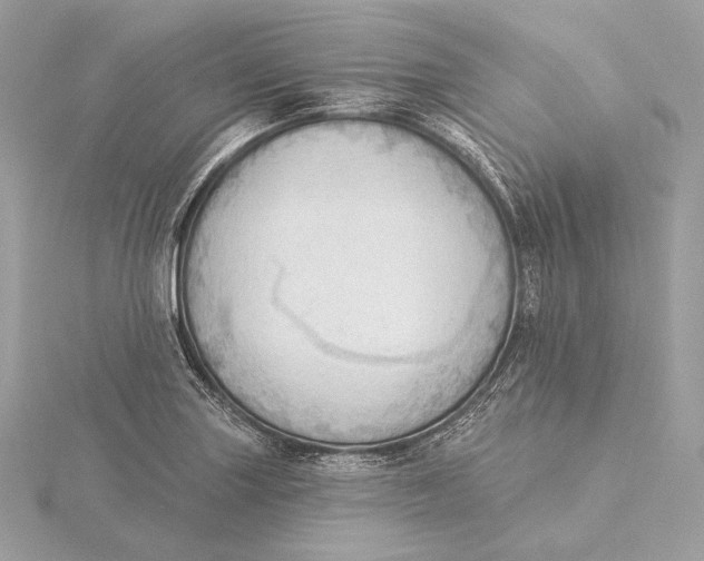 X0000115851227200912041722