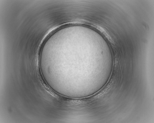 X0000115851232200912041722