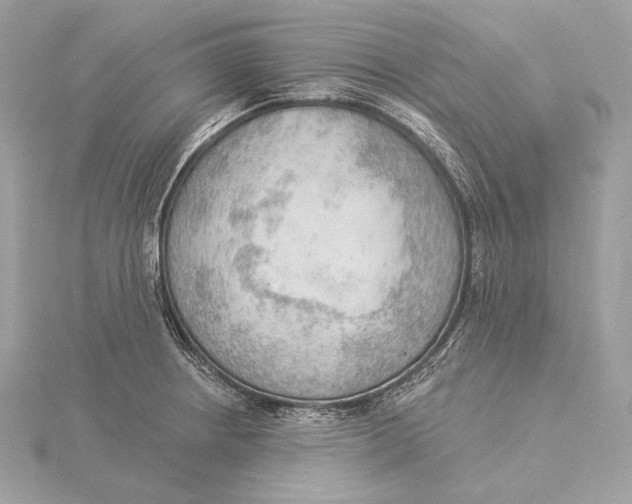 X0000115851234200912041722