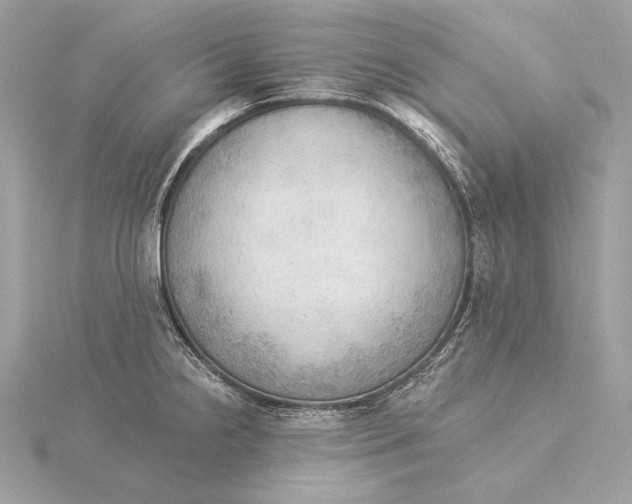 X0000115851238200912041722