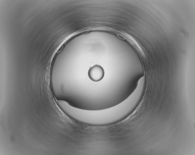 X0000115851244200912041722
