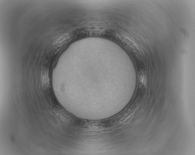 X0000115851252200912041722