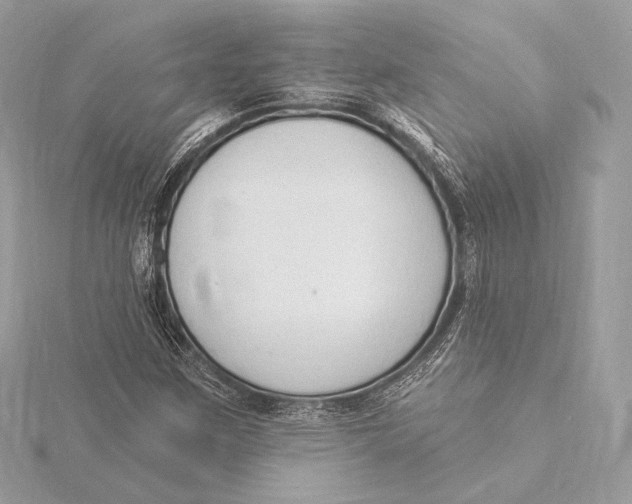 X0000115851259200912041722