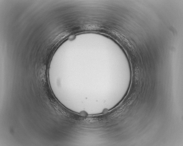 X0000115851265200912041722