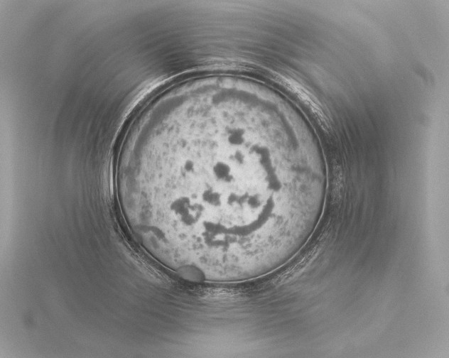 X0000115851275200912041721
