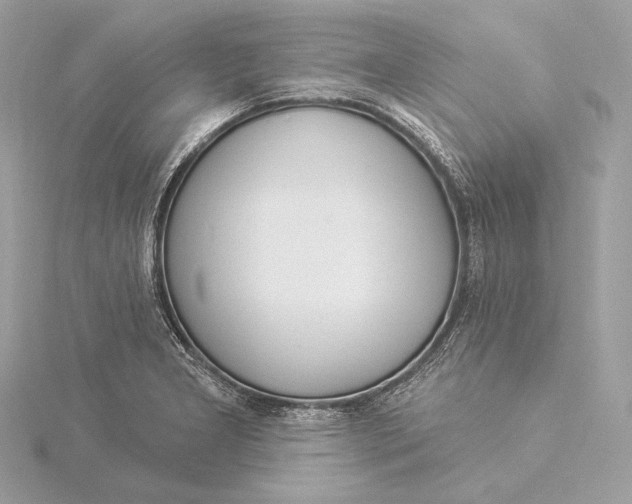 X0000115851277200912041721