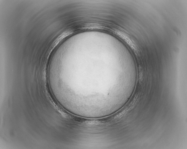 X0000115851282200912041721