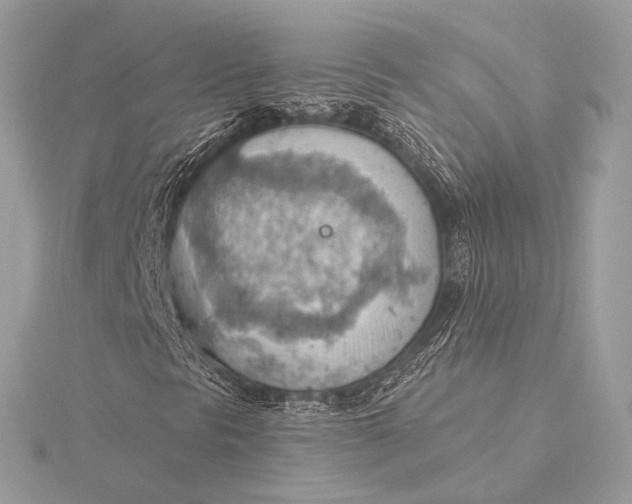 X0000115851297200912041720
