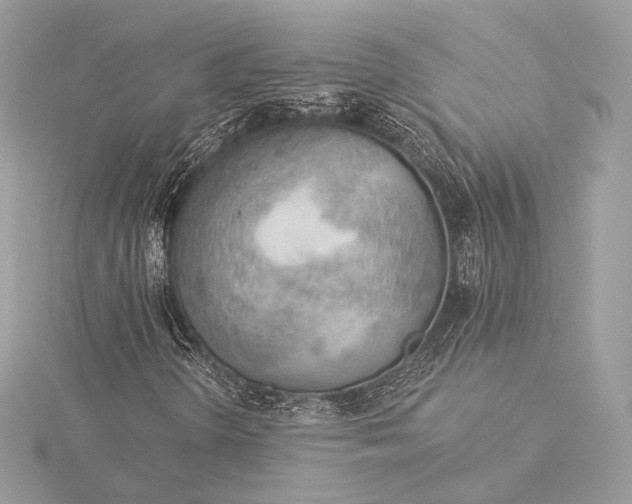 X0000115851298200912041720