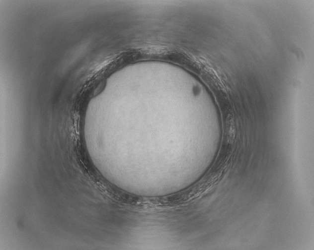 X0000115851301200912041720