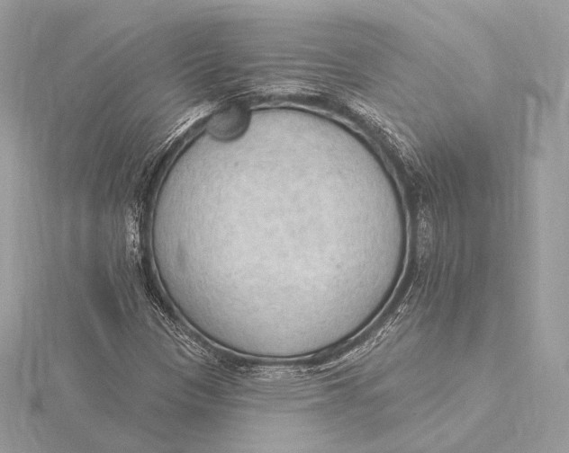 X0000115851305200912041720