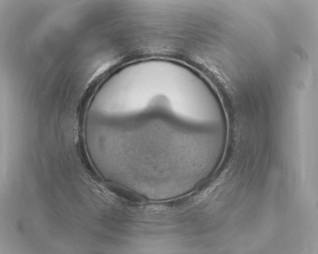 X0000115851306200912041721