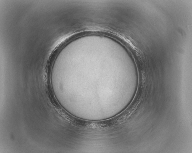X0000115851311200912041721
