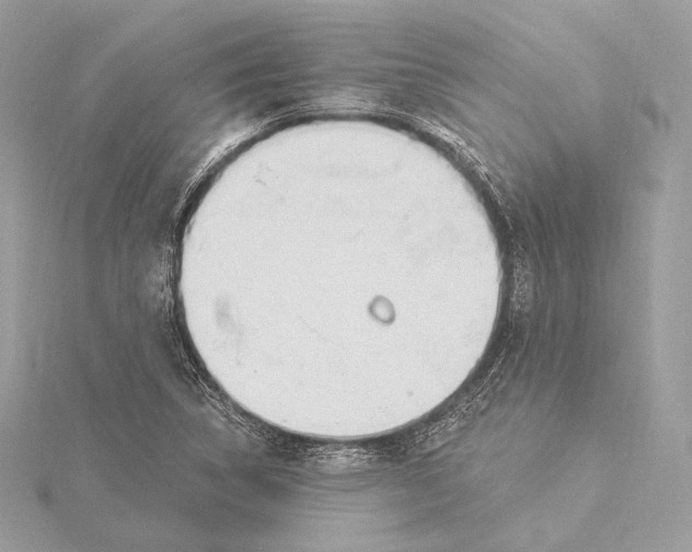 X0000115851314200912041721