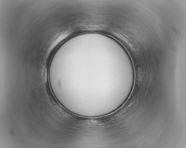 X0000115851317200912041721