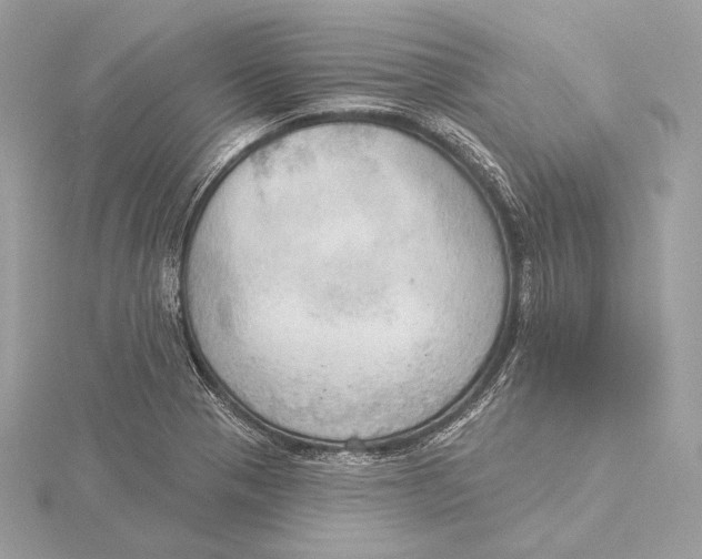 X0000115851321200912041721