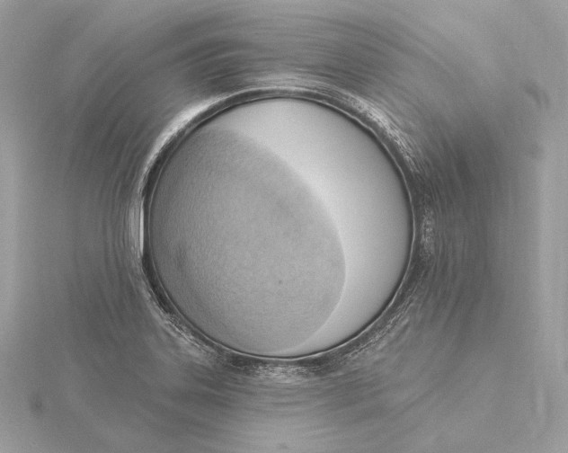X0000115851323200912041721