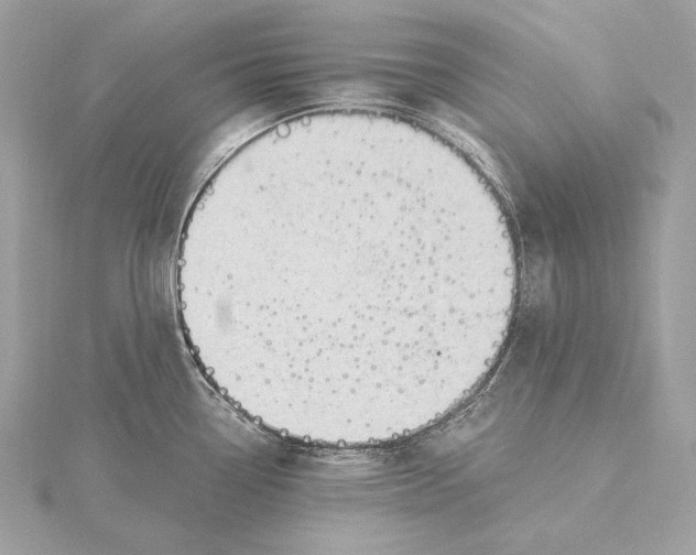 X0000115851338200912041721