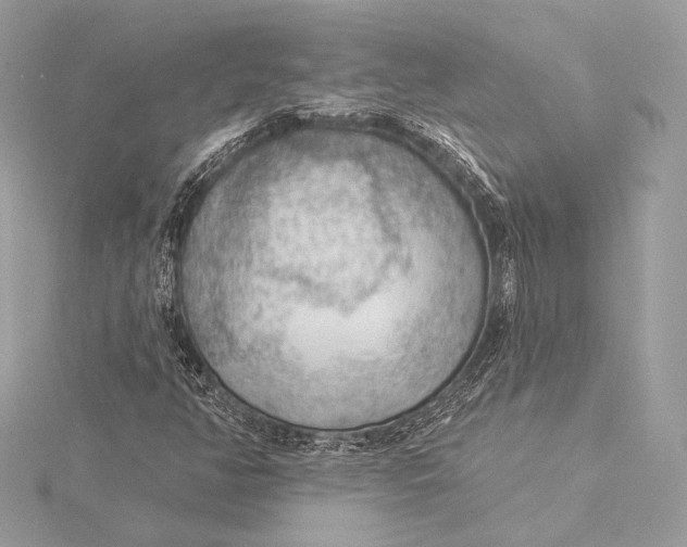 X0000115851350200912041720
