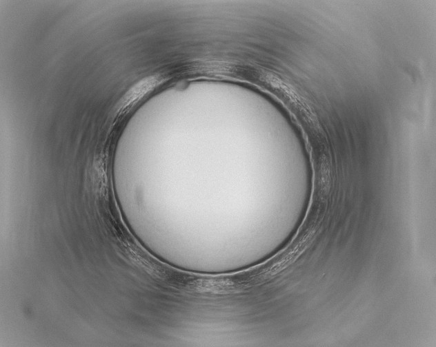 X0000115851354200912041720
