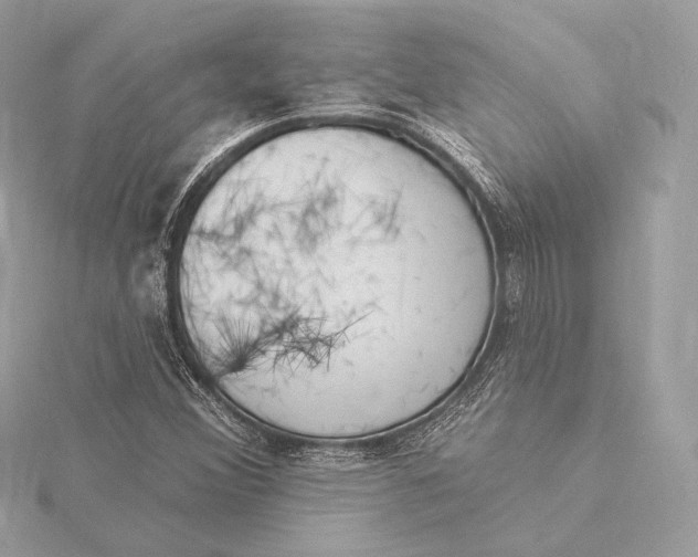 X0000115851356200912041720