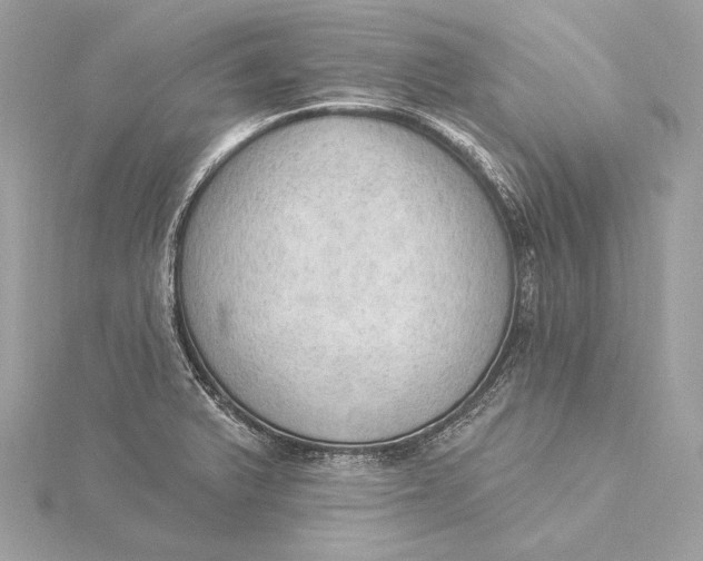 X0000115851375200912041720
