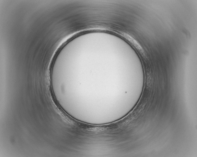 X0000115851380200912041720
