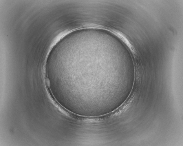X0000115851381200912041720