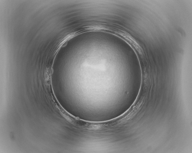X0000115851385200912041720