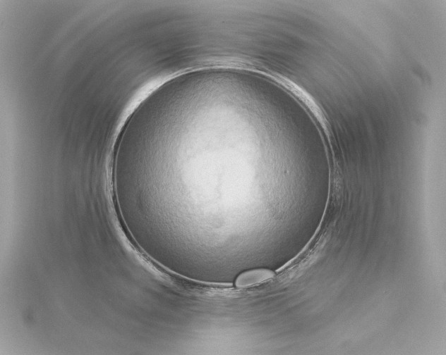 X0000115851389200912041720