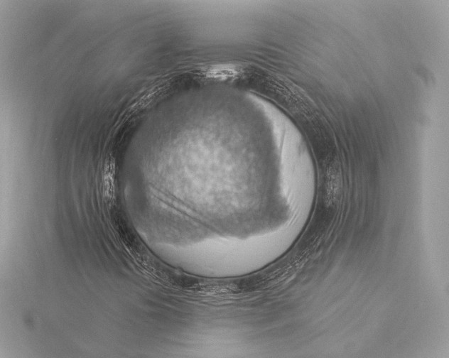 X0000115851394200912041719