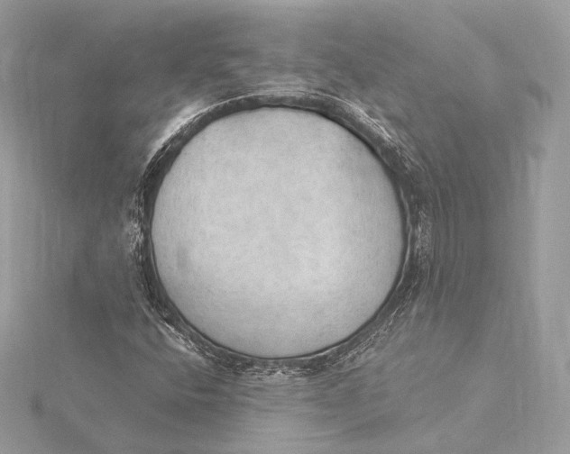 X0000115851400200912041719