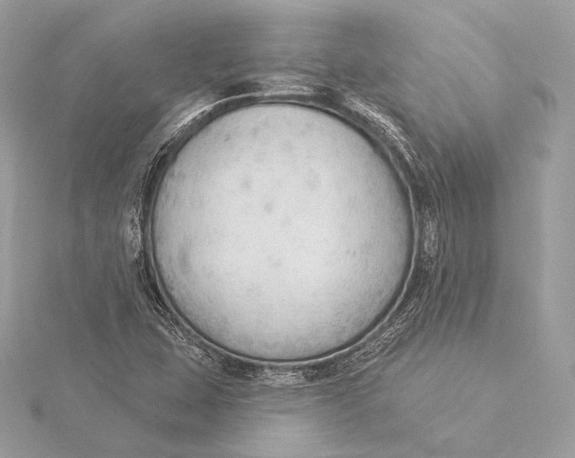 X0000115851407200912041719